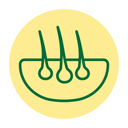 Josera Hungary