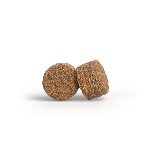 MOTHER&PUPPY SALMON & RICE