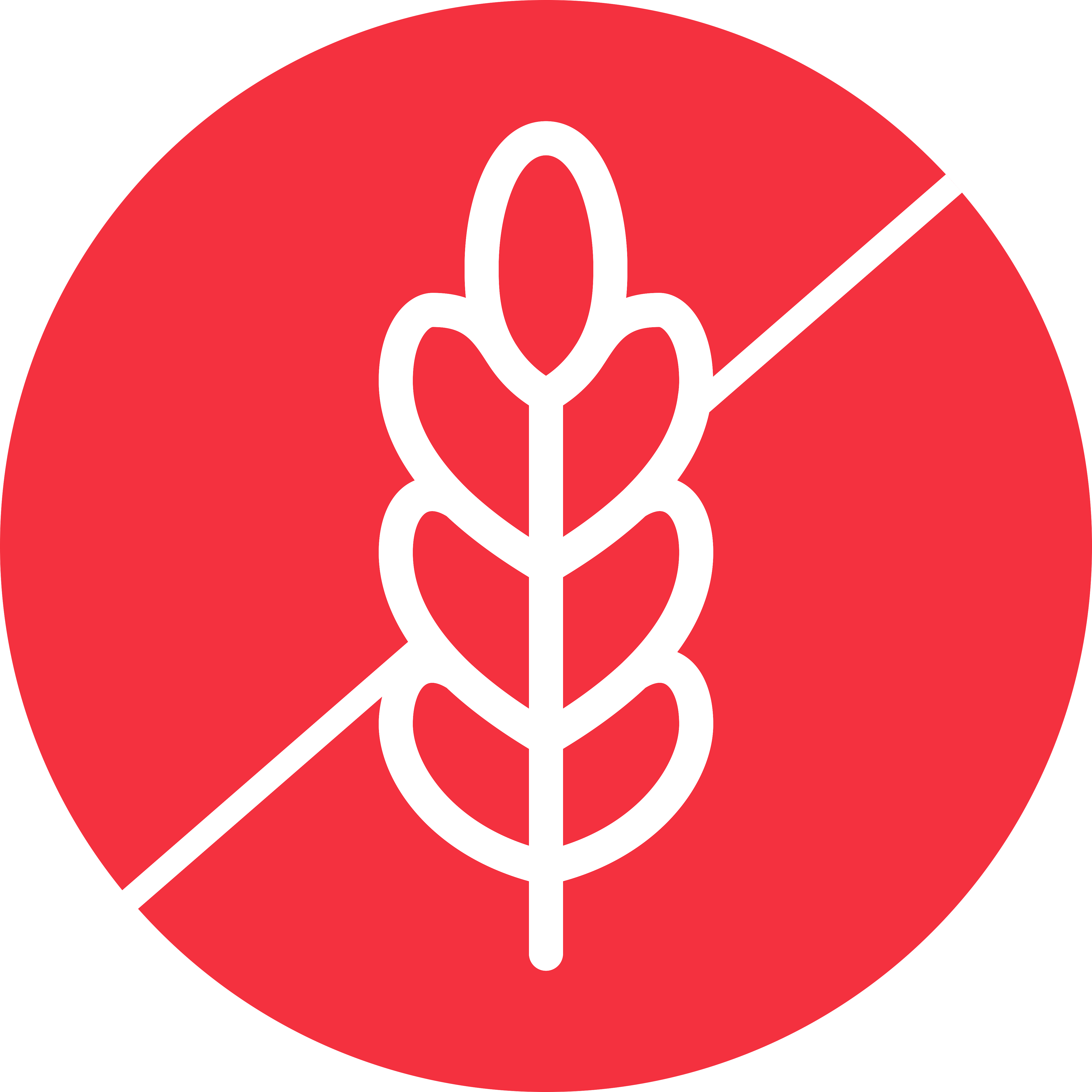Josera Hungary