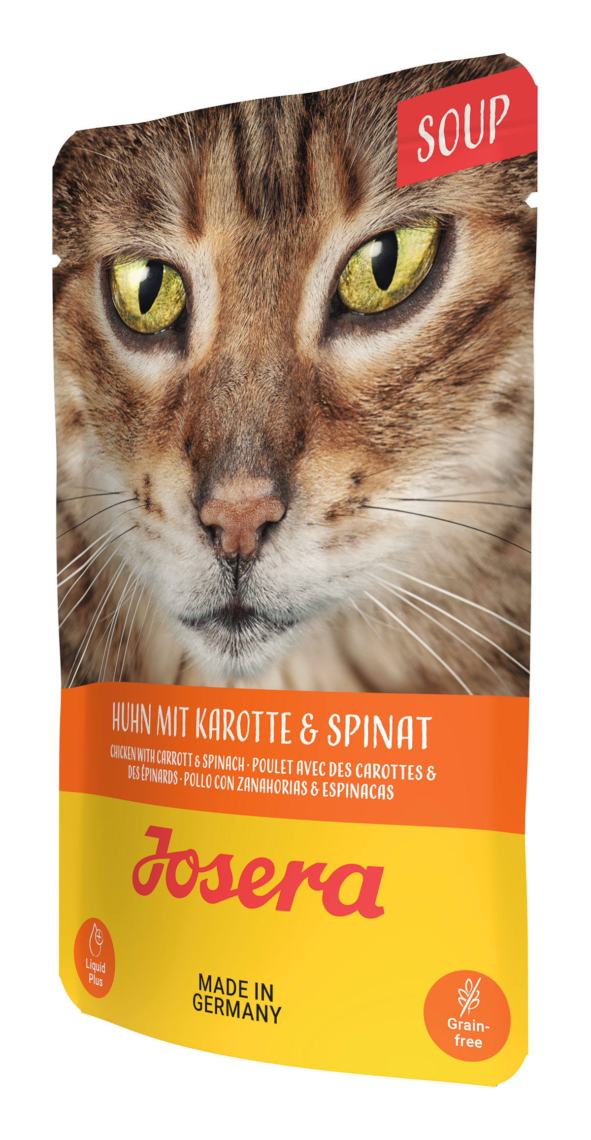 CHICKEN SOUP WITH CARROT & SPINACH