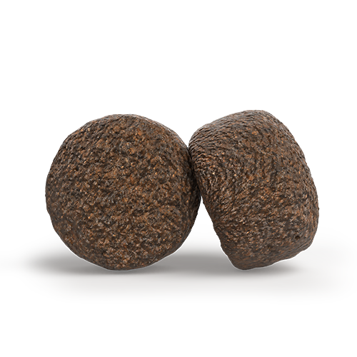 MEDI/MAXI CHICKEN & RICE