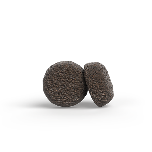 MINI SALMON & CHICKEN